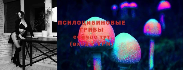 гидра Алексин