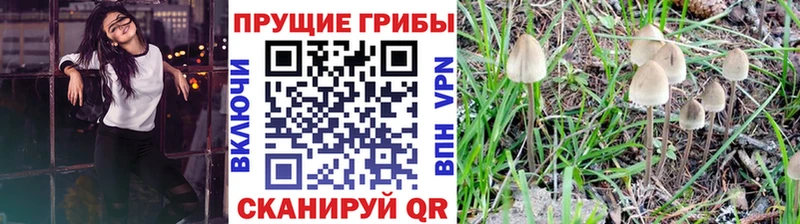 Псилоцибиновые грибы ЛСД  Среднеколымск 